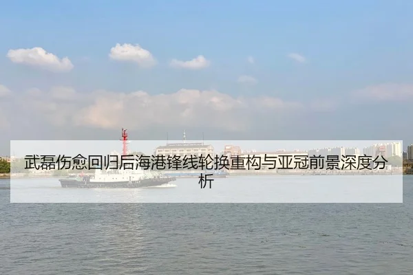武磊伤愈回归后海港锋线轮换重构与亚冠前景深度分析 | jiuyou